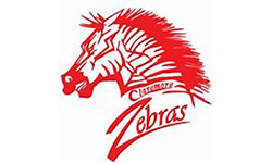 Zebra Logo 